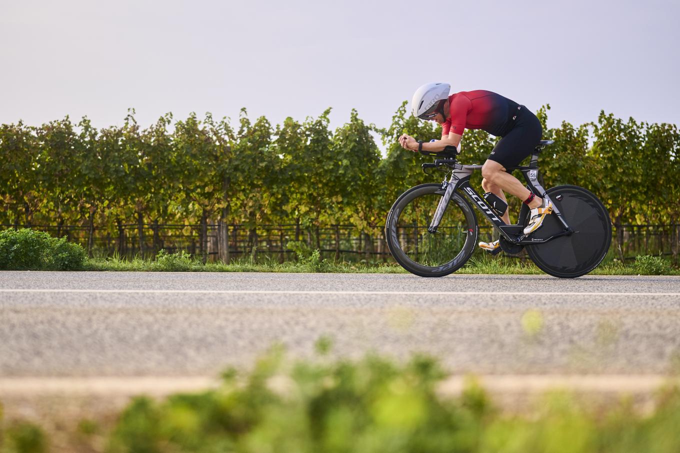 Cyclist on the road through Poreč vineyards
